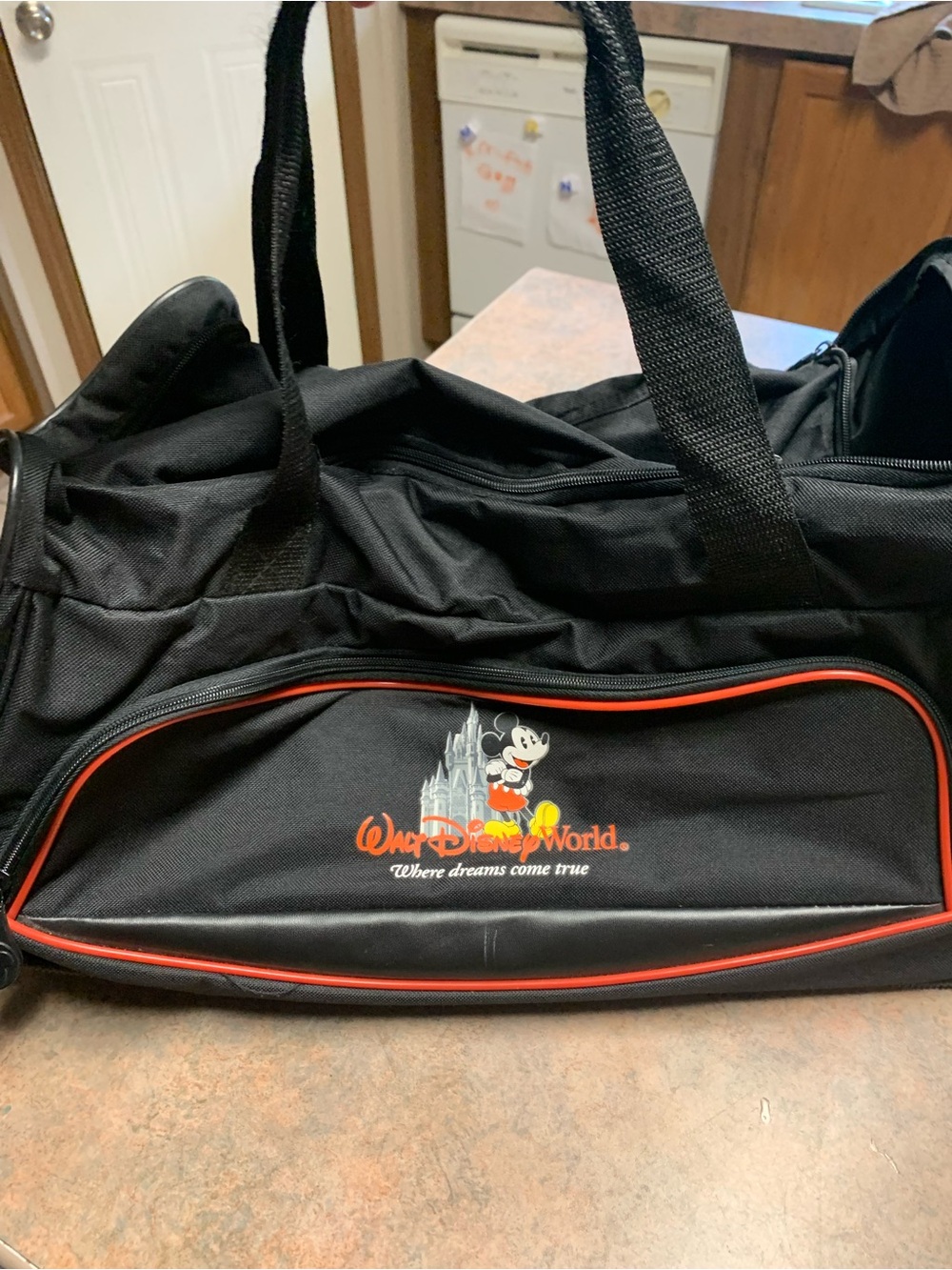 Walt Disney World Rolling Duffle Bag